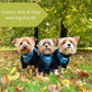 Dog Harness | Plaid Date