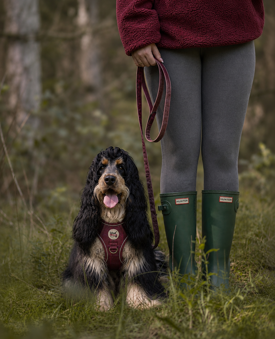 Step in Dog Harness Set | Mulberry Trails | Matching Collar, Lead & Bow | BUNDLE OF YOUR CHOICE