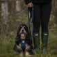 Step In Dog Harness | Midnight Trails