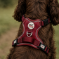 Step in Dog Harness Set | Mulberry Trails | Matching Collar, Lead & Bow | BUNDLE OF YOUR CHOICE