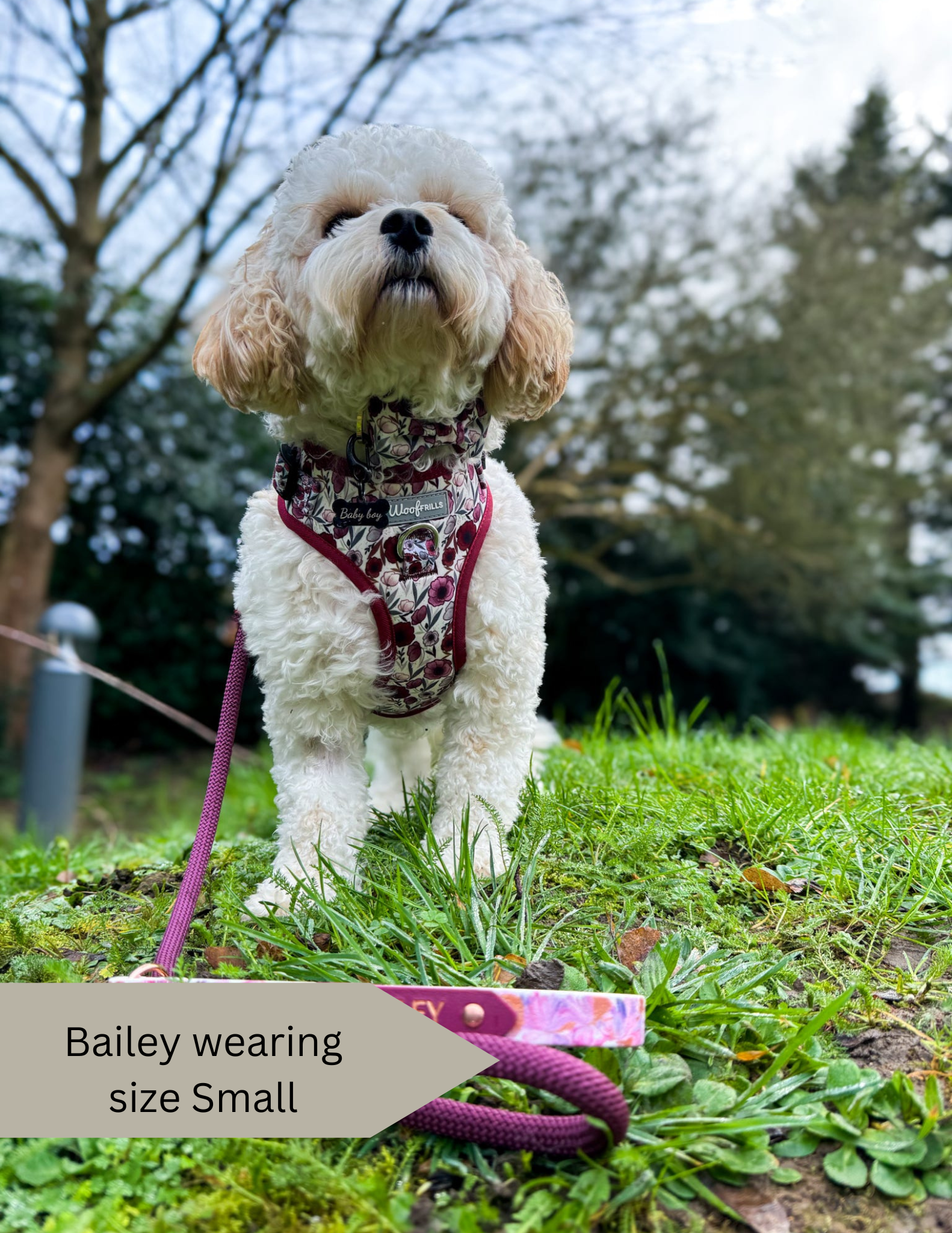 Poppy harness and leads set Floral dog harness – Woof Frills