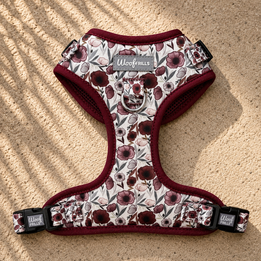 Dog Harness | Poppy Power