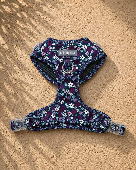 Dog Harness | Twilight Bloom