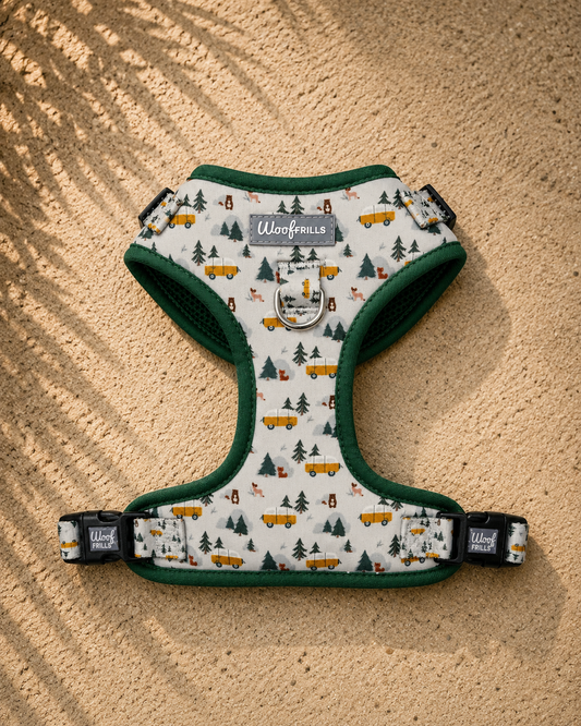 Dog Harness | Hey Ho, Let’s go