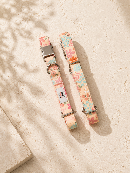 Floral Dog Collar | Peachy Dreams | Adjustable & Durable