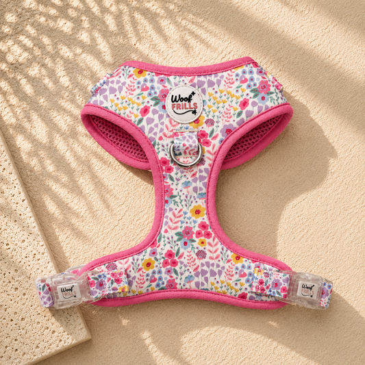 Floral Dog Harness | Blossom Dreams