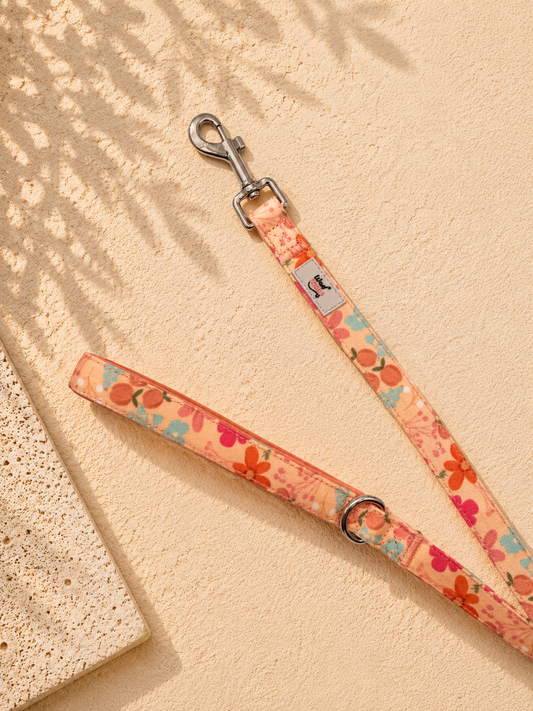 Floral Dog Lead | Peachy Dreams| Soft Handle & Durable