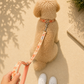 Floral Dog Lead | Peachy Dreams| Soft Handle & Durable
