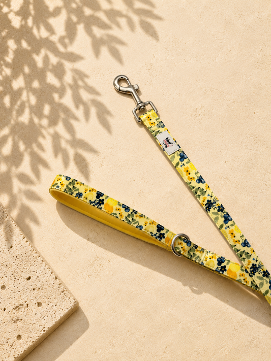 Dog Lead | Blueberry Lemonade| Soft Handle & Durable