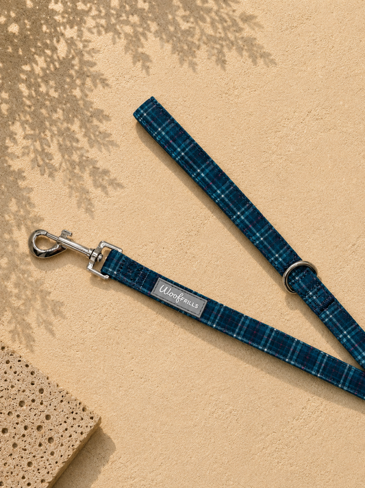Tartan Dog lead | Soft handle | Plaid date