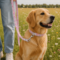 Floral Dog Lead | Blossom Dreams | Soft Handle & Durable
