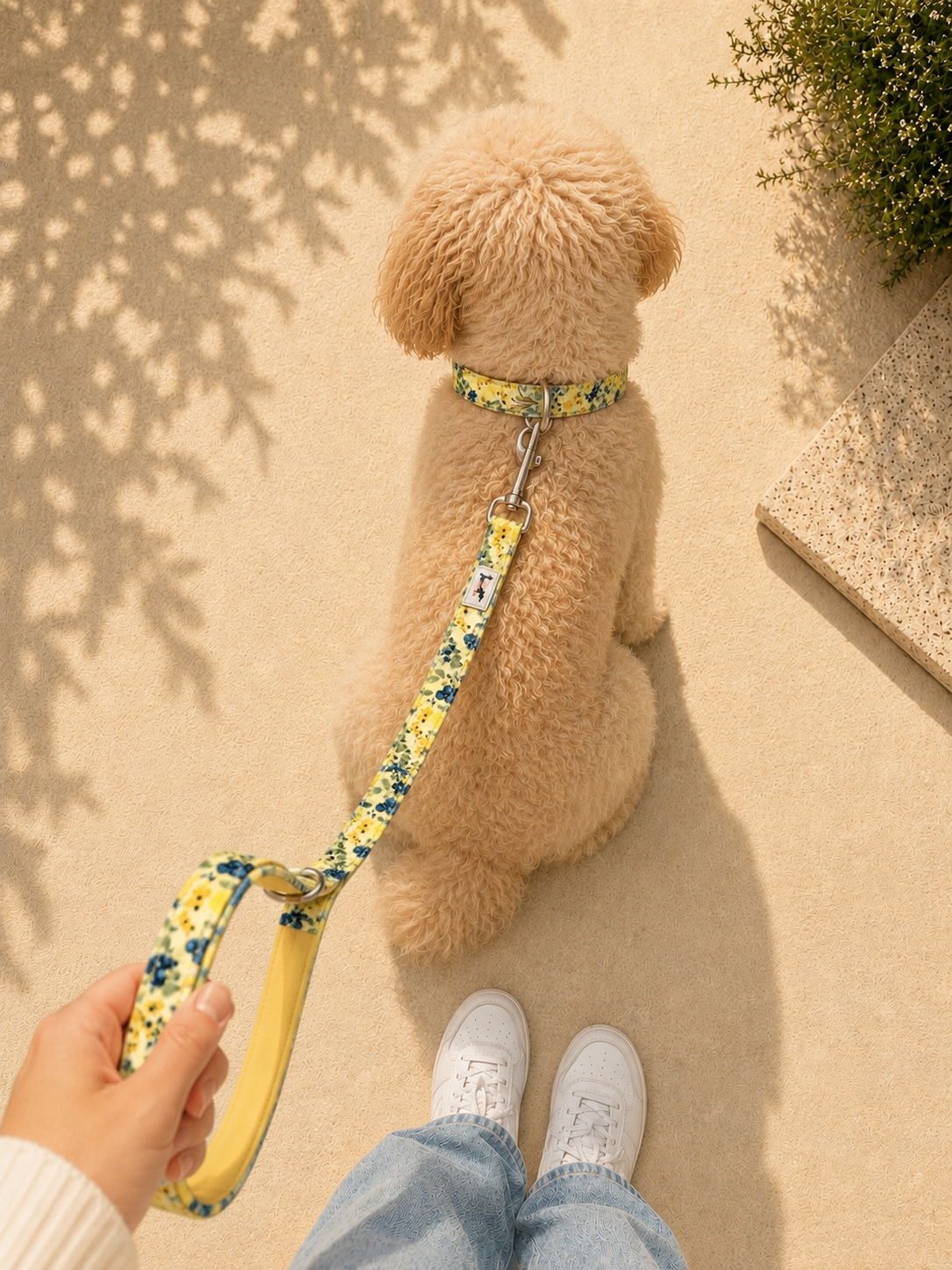 Dog Lead | Blueberry Lemonade| Soft Handle & Durable