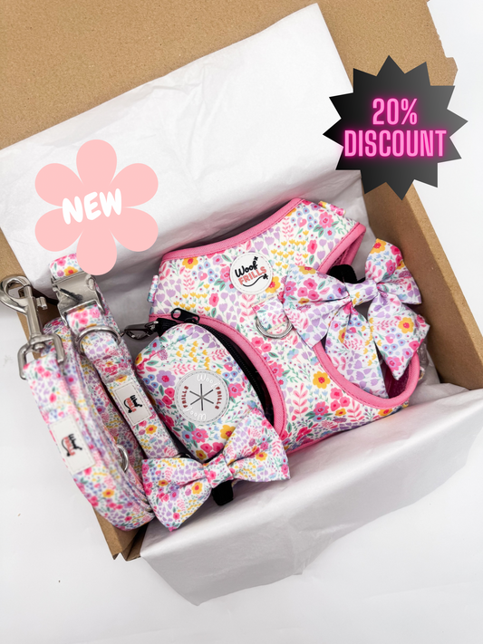Floral dog harness set Blossom Dreams with matching collar and lead 