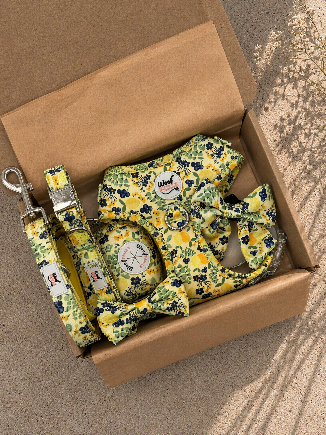Lemons Dog harness, leash, and collar set in a cardboard box 