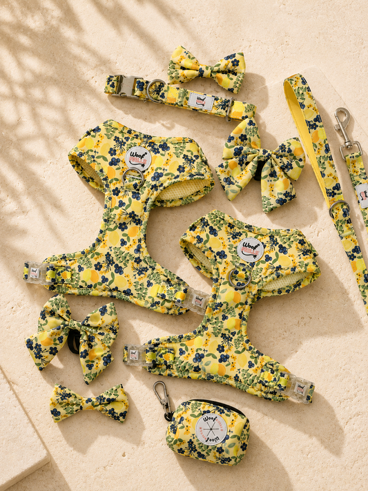 Yellow dog harness set with matching lead , collar and bow tie