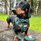 Dog harness, Dog collar and lead set | BUNDLE OF YOUR CHOICE | Pupperfly Frills