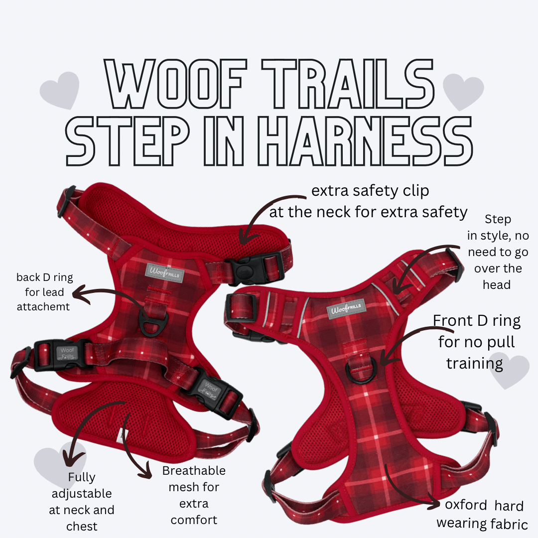 Step in dog harness for strong dogs