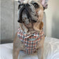 Frenchie looking smart in a cute dog  harness with matching bow tie
