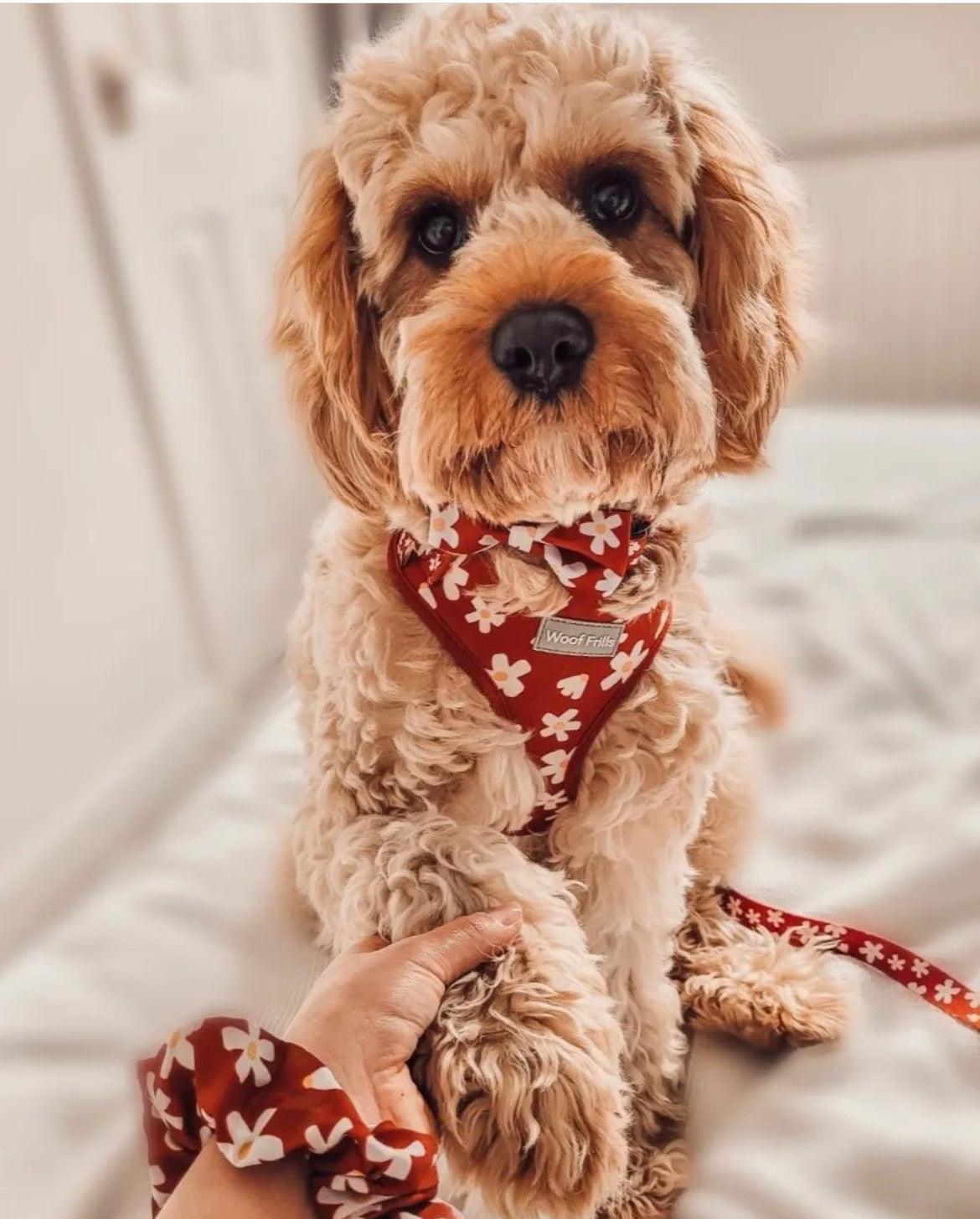 Red Daisies- Adjustable Harness - Woof Frills