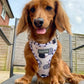 Hedge’dog - Adjustable Harness - Woof Frills
