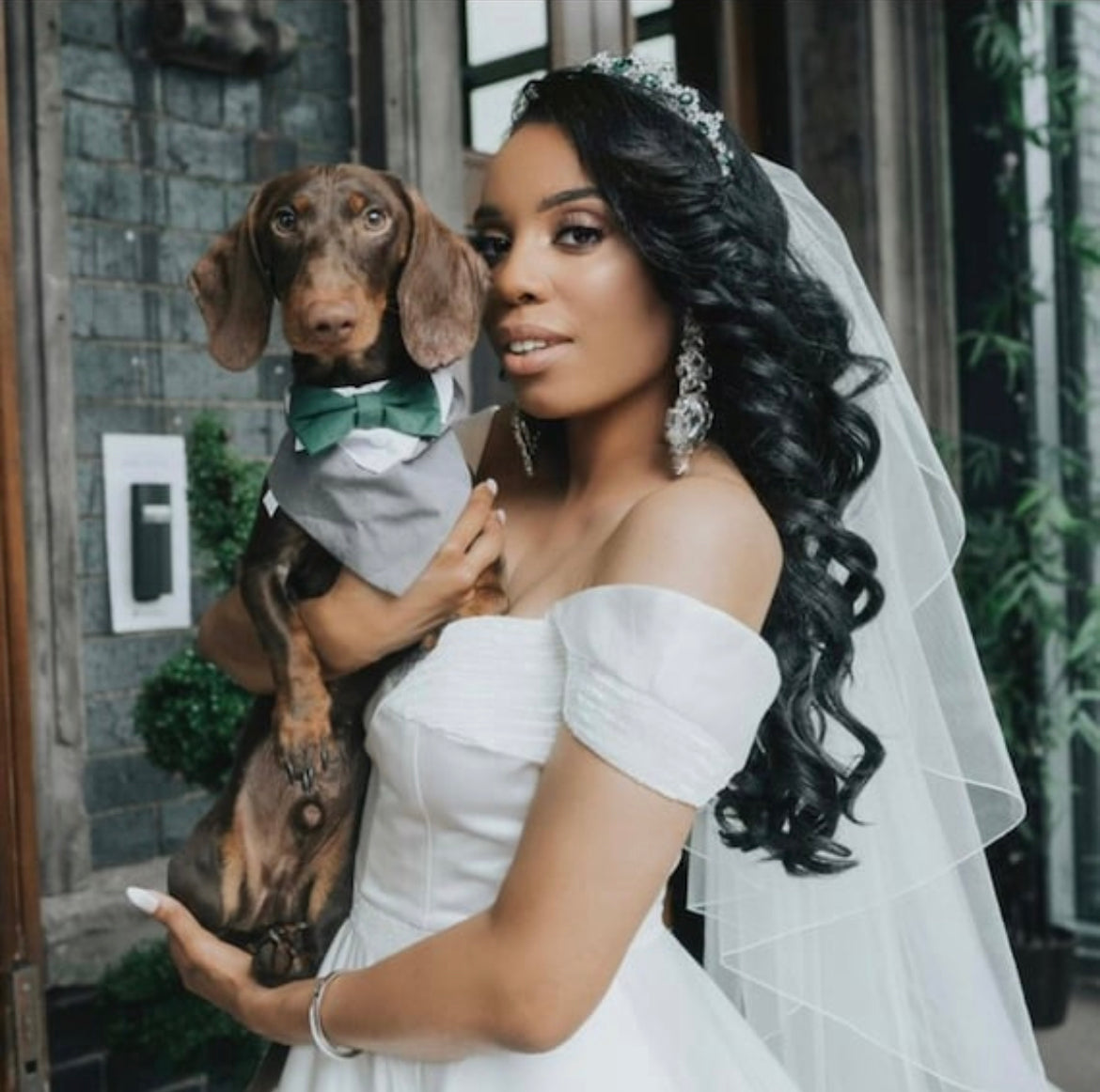 Beautiful wedding picture with a dog wearing a dog tuxedo