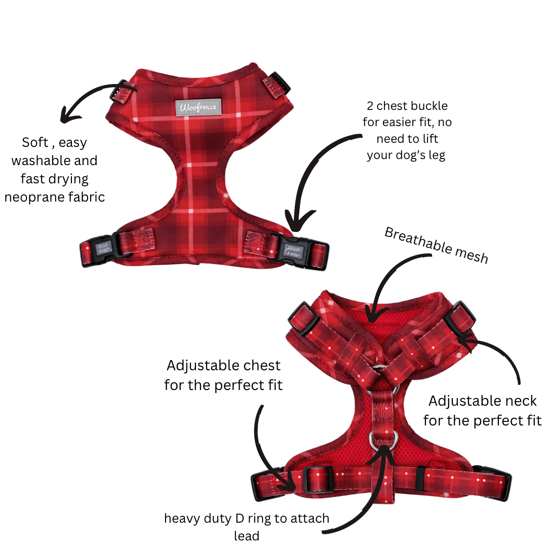 Tartan dog harness 