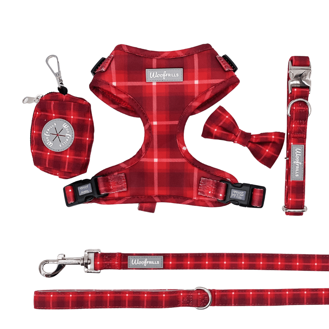 Designer dog harness , dog lead and collar set and matching dog poop bag holder