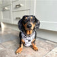 Hedge’dog - Adjustable Harness - Woof Frills
