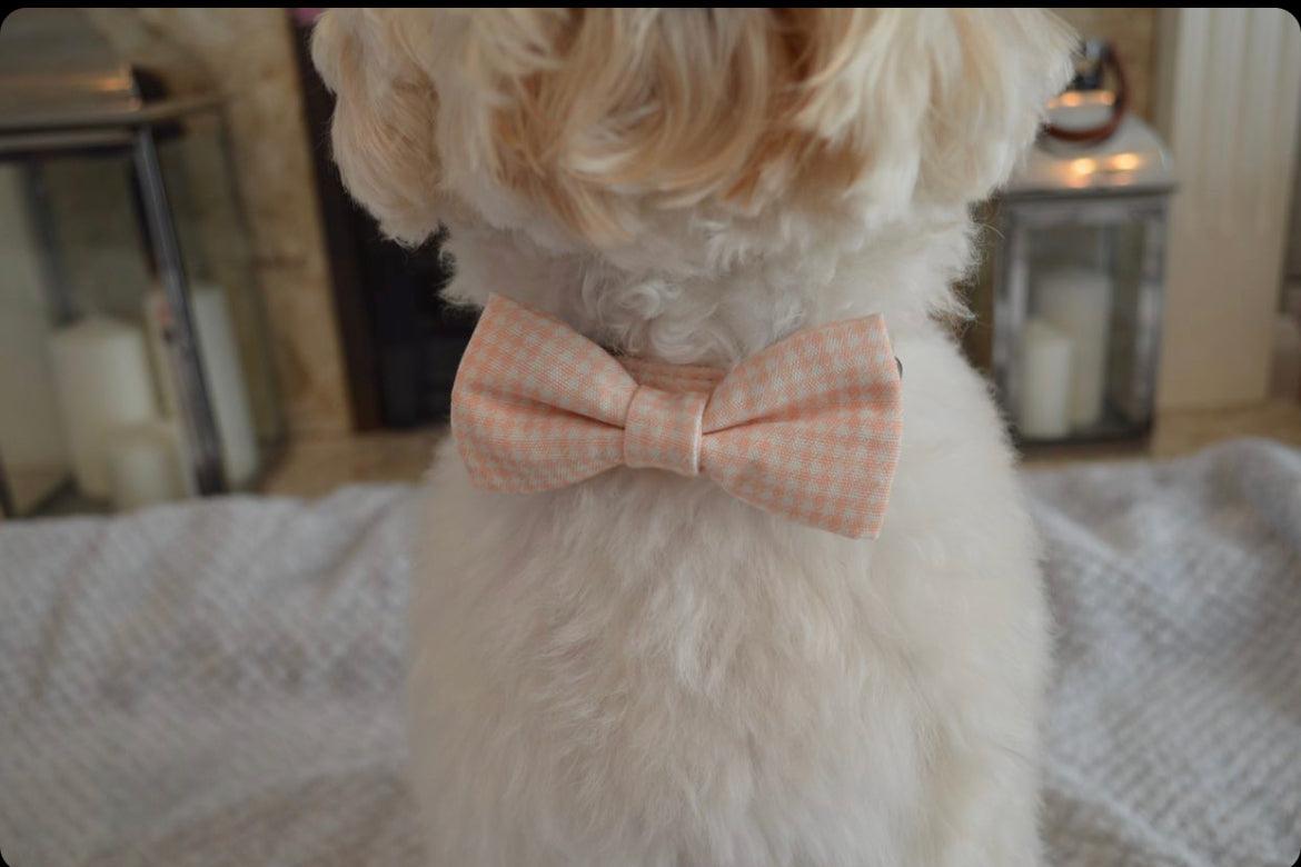 Peach please - Adjustable  Collar - Woof Frills