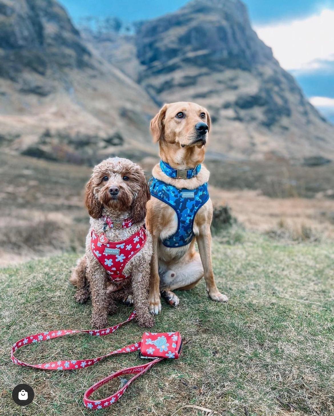 Red Daisies- Adjustable Harness - Woof Frills