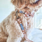 Dog collar and lead set with cute dog bow tie 
