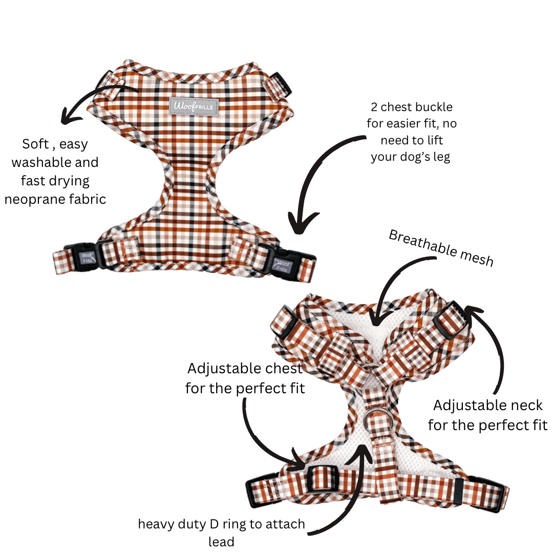 Dog harness fully adjustable at both chest and neck, 2 chest buckles for easier fitting 