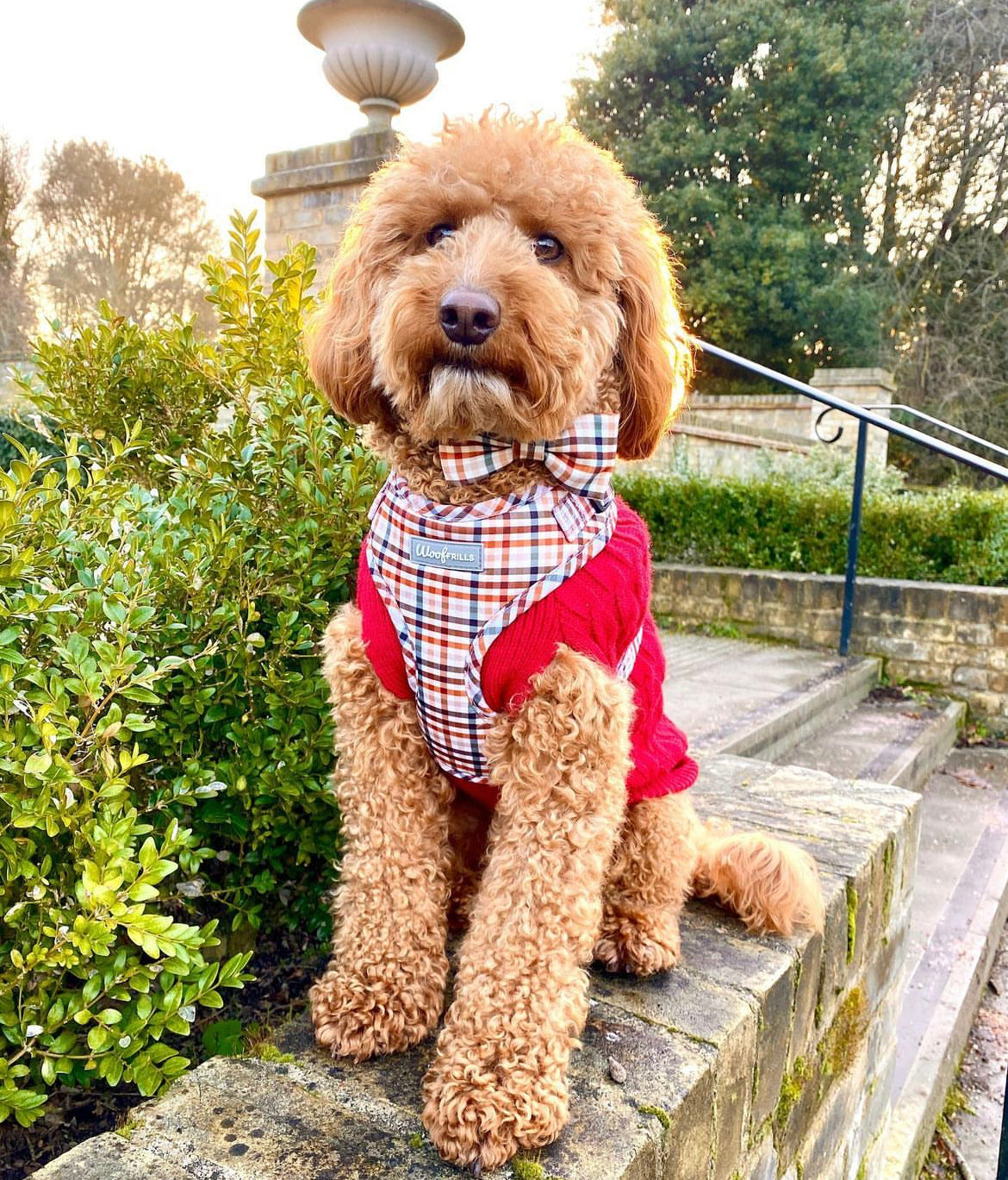 Dog harness Dog collar and lead set BUNDLE OF YOUR CHOICE Best i ever plaid With waterproof matching collar leash