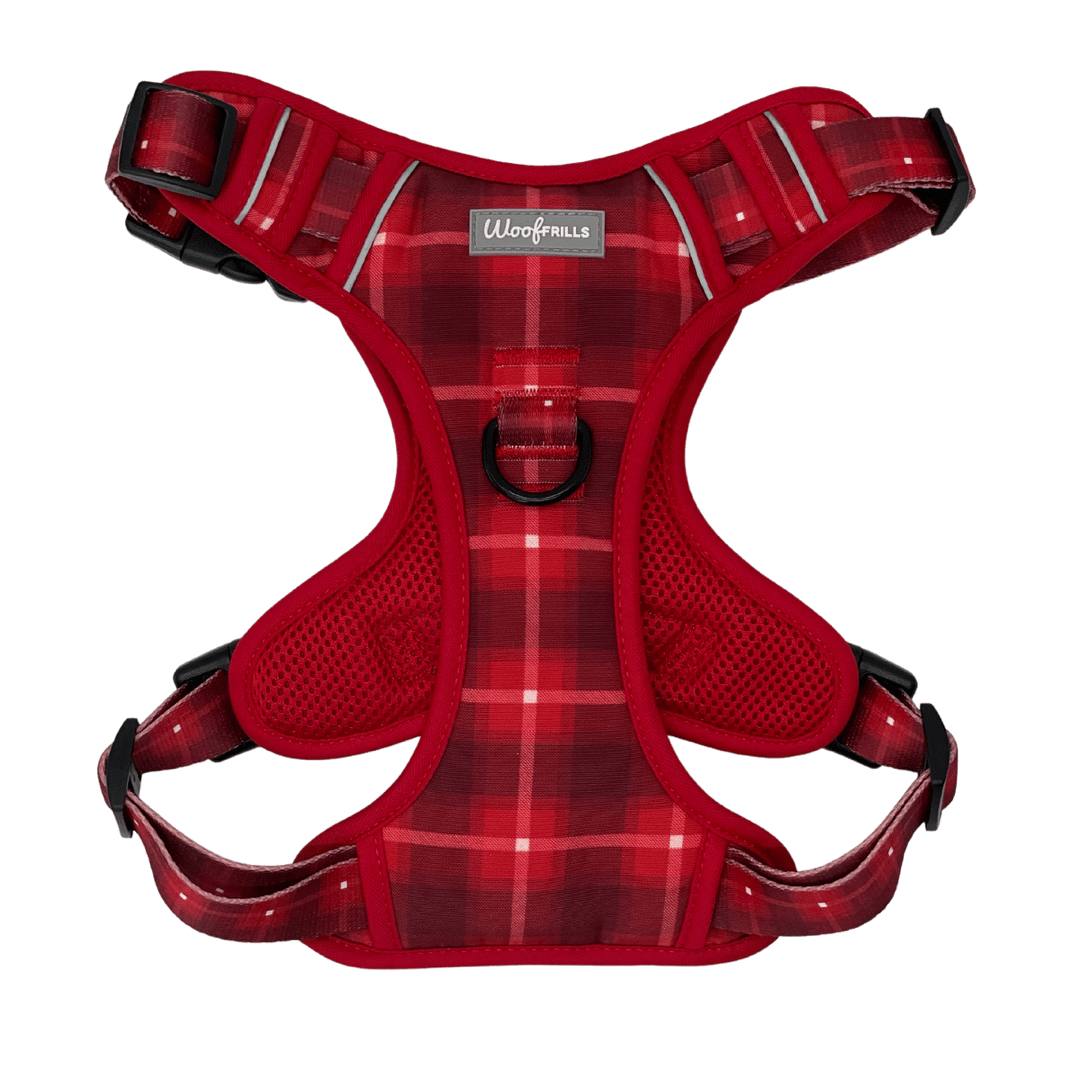 Maroon dog harness best sale