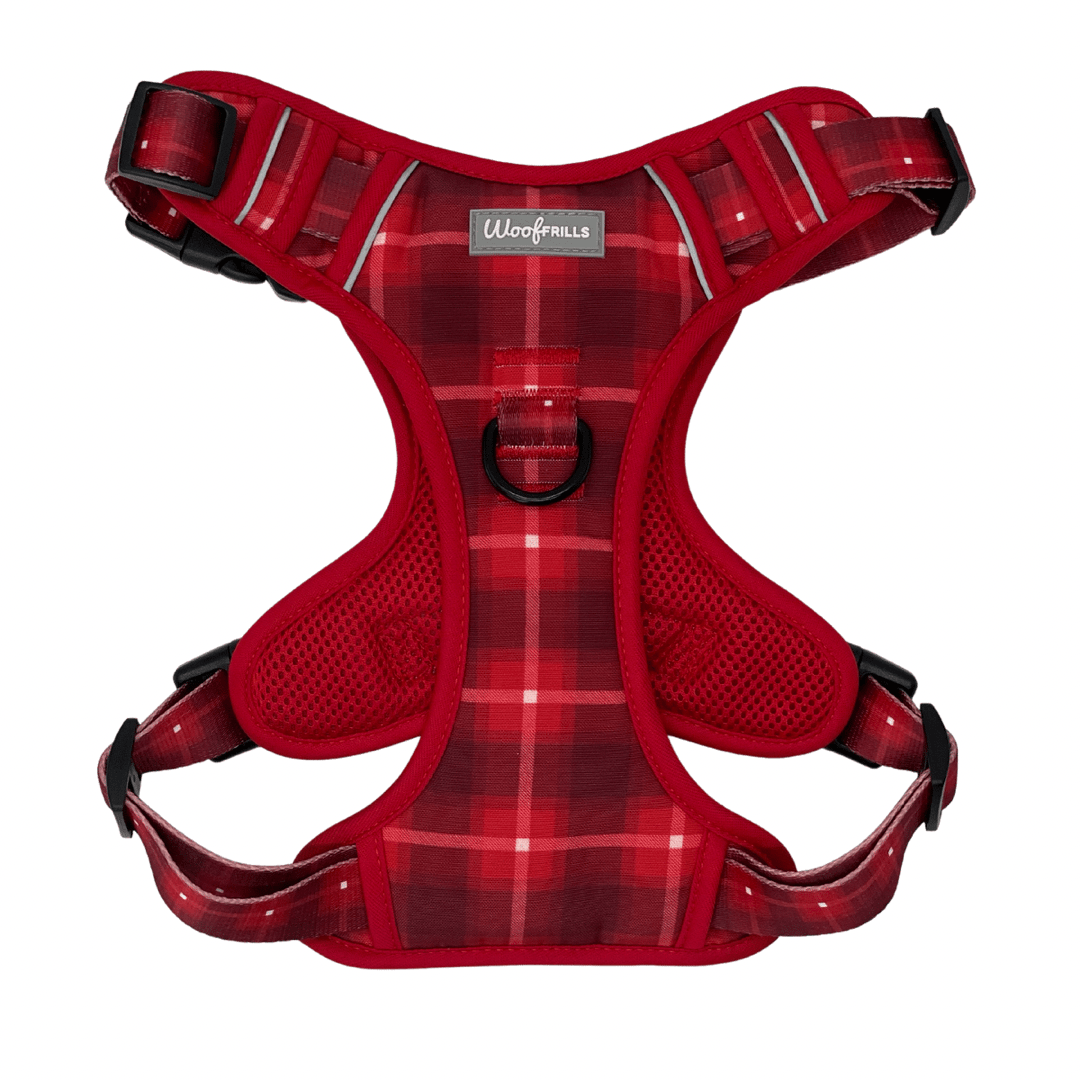 Red Step in dog harness