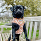 Dog harness , Dog collar and lead set | BUNDLE OF YOUR CHOICE | Bloom me away