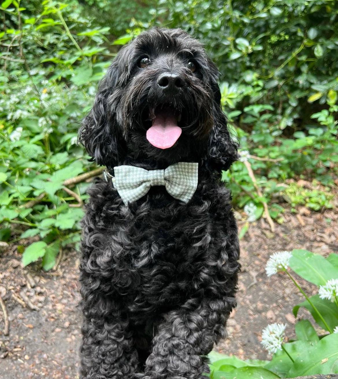 Poodle bow outlet tie