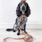 Cocker spaniel wearing a dog lead and collar set with matching bow tie 