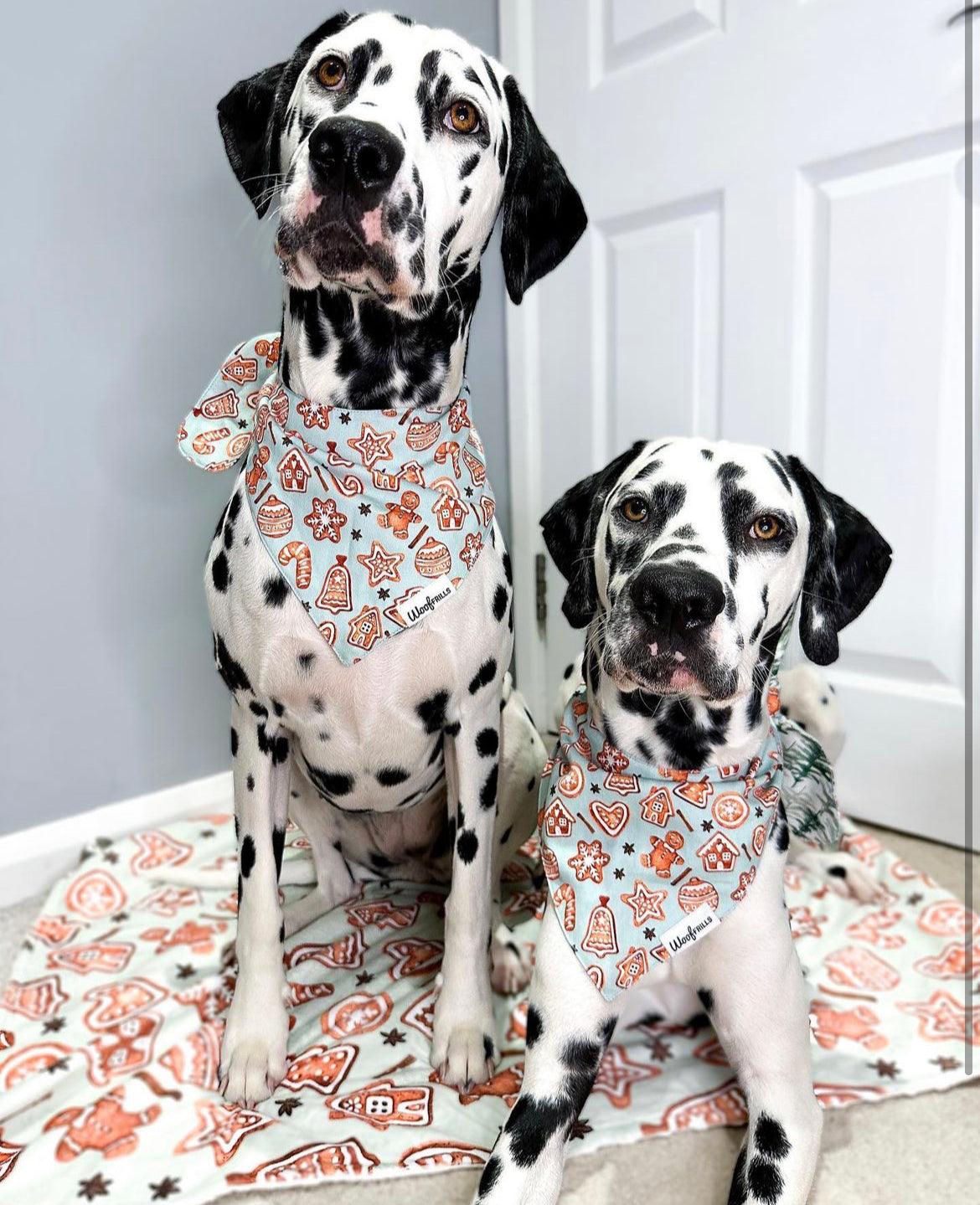 Dalmatian bandana shop