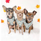 Three dogs wearing small dog harness