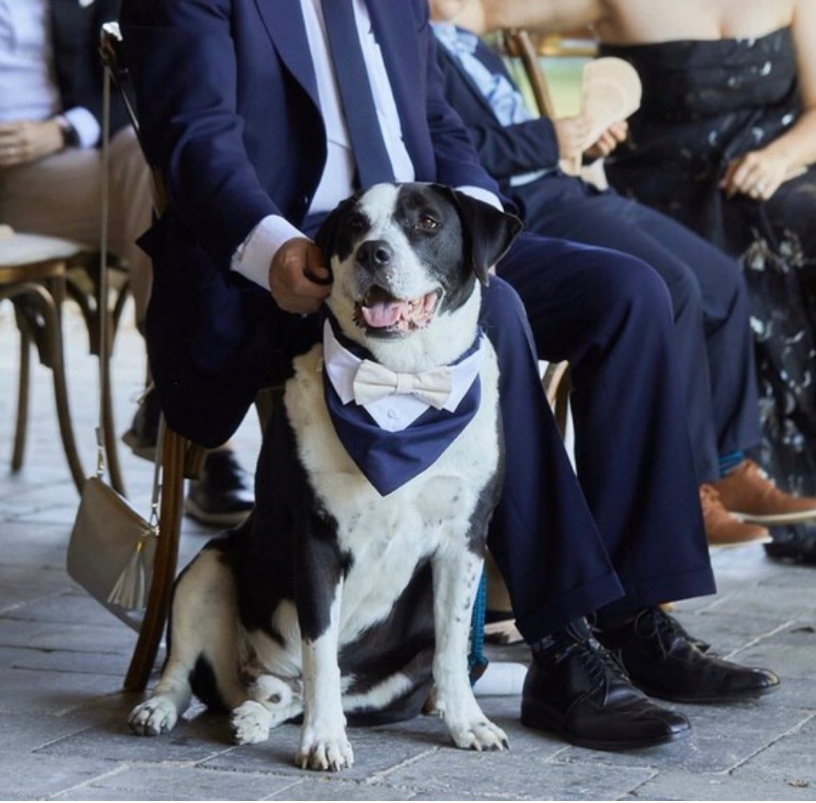 Dog tuxedo deals bow tie