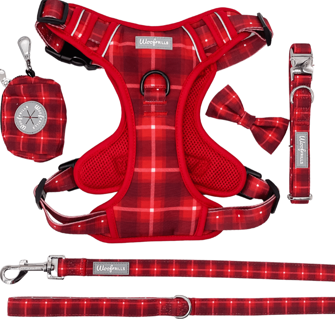 Adjustable step in harness set with matching lead 