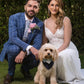 Wedding couple with their dog and his wedding outfit