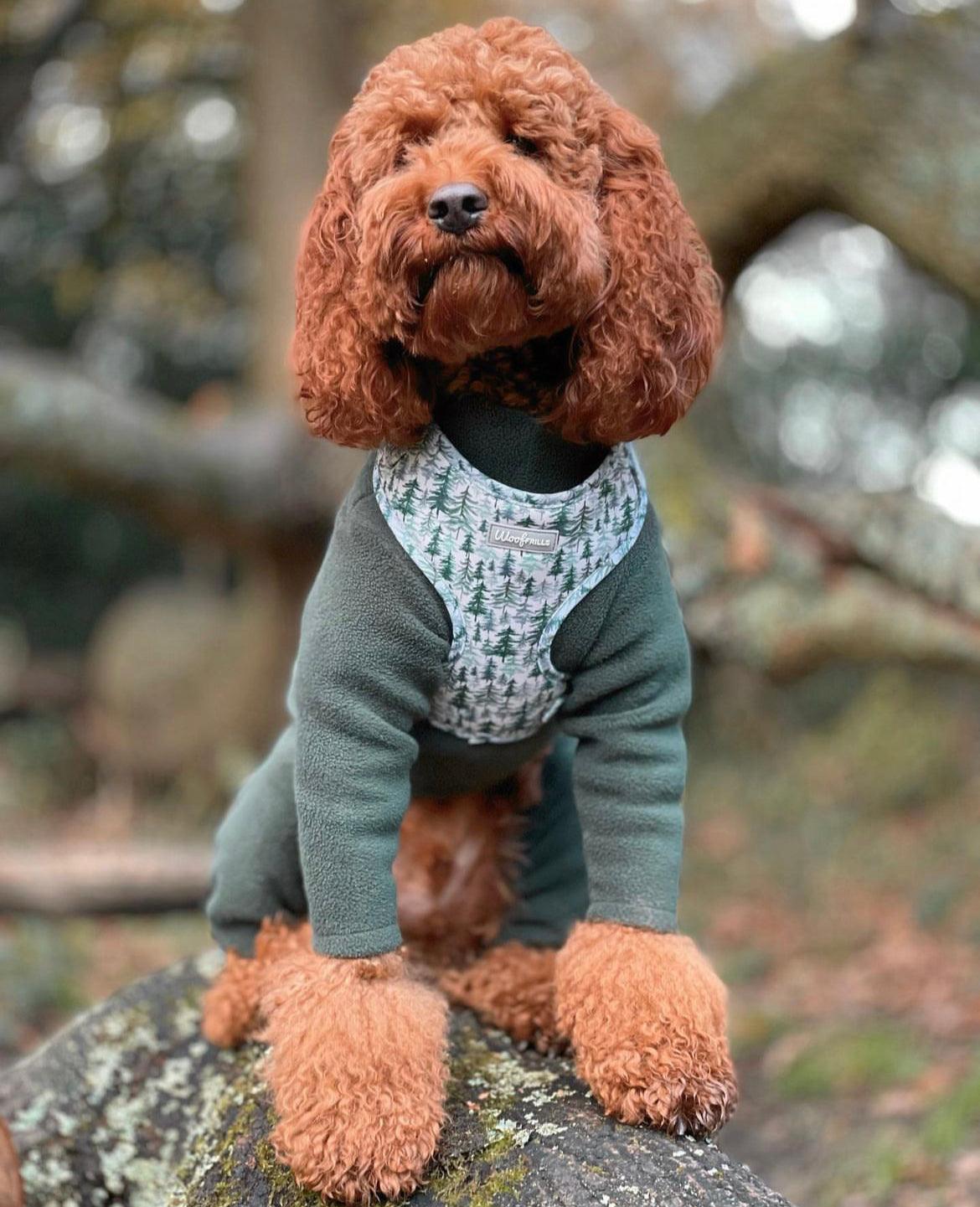 ginger dog wearing green soft dog harness