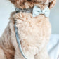 Dog lead and collar set and cute dog bow tie 