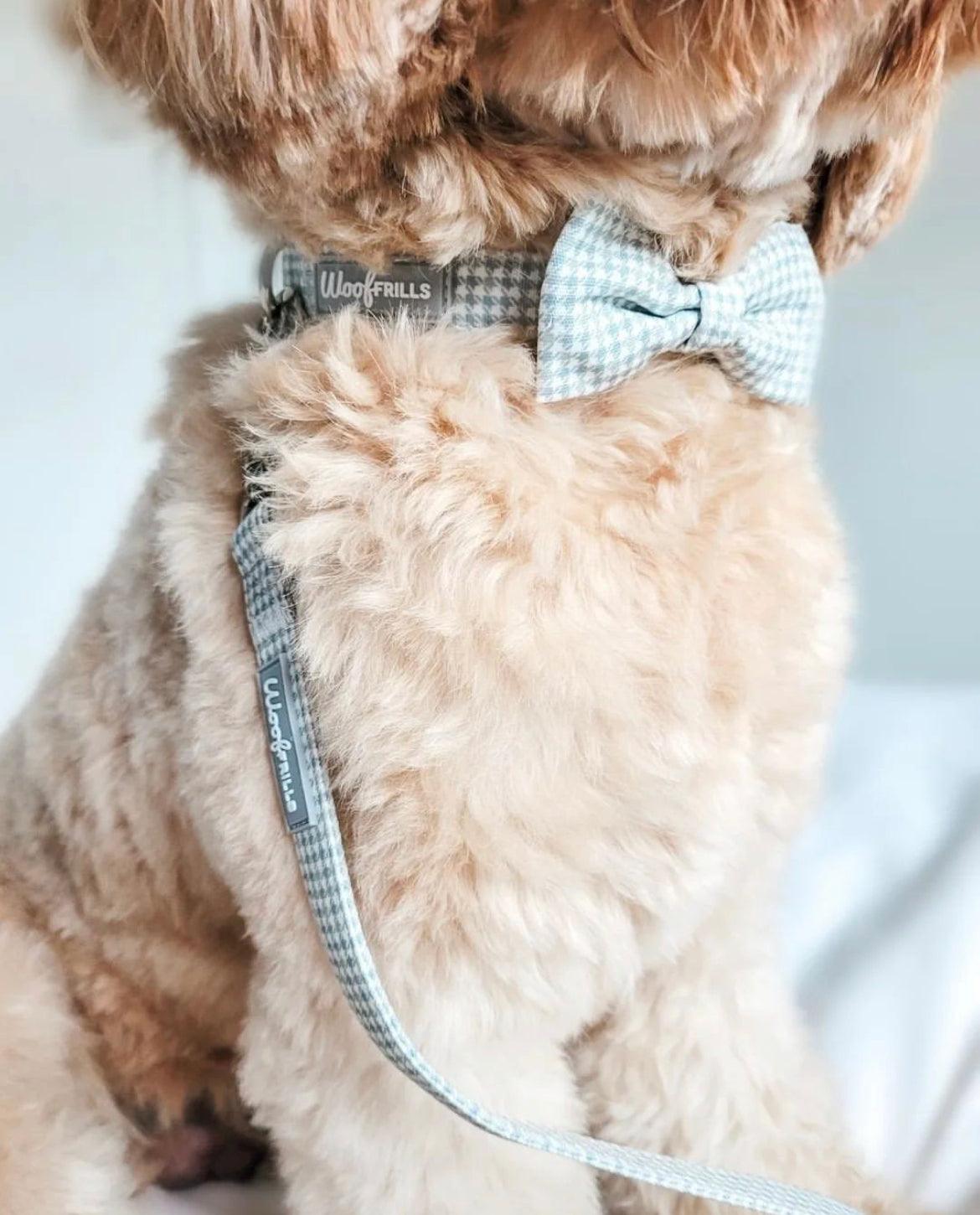 Dog lead and collar set and cute dog bow tie 