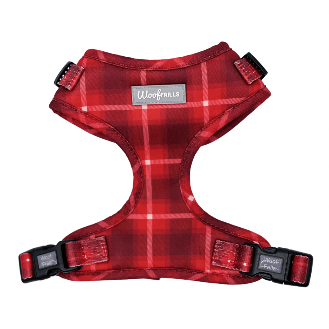Red dog harness 